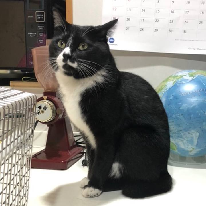 9cfab126 e5bf 4ece bbf0 17f4a4c1dc60 1558410414520