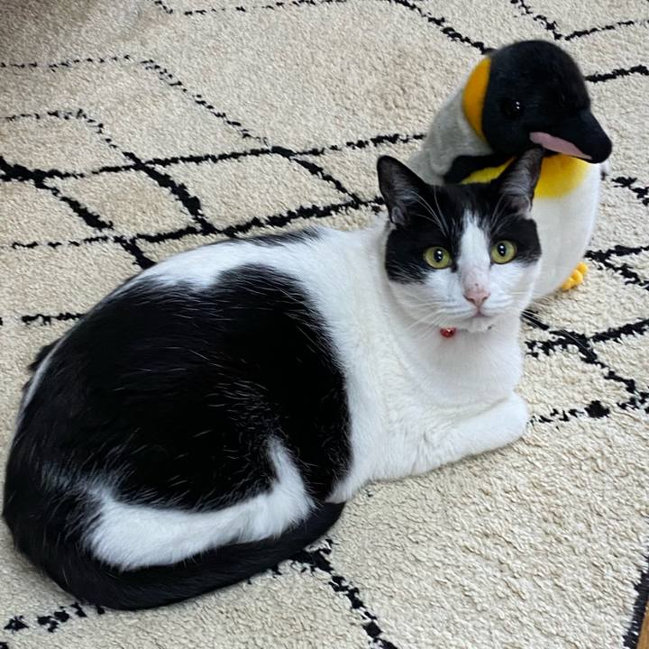 9cfacfdb e071 44f7 9315 34b12f9aafa7 1668650682518