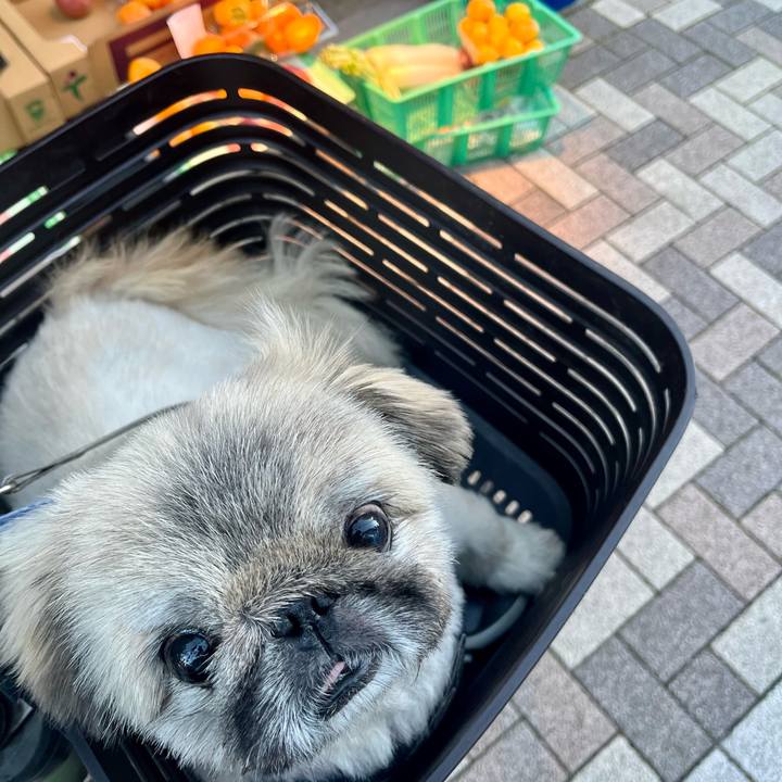 9cfafcde 6a76 4351 8b83 c5dcc4a040bb 1762209588649