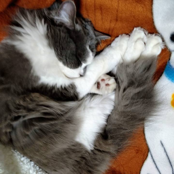 9cfb1088 e05d 44dc 888f 5c7ca9e509d1 1581937799984