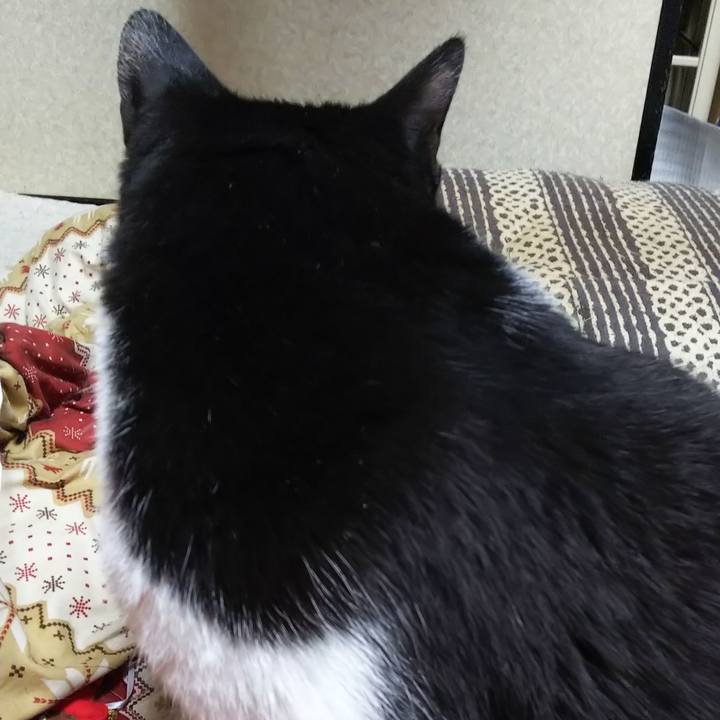 9cfb3e20 f43b 4d00 844a 5d5a2ab40850 1580939031371