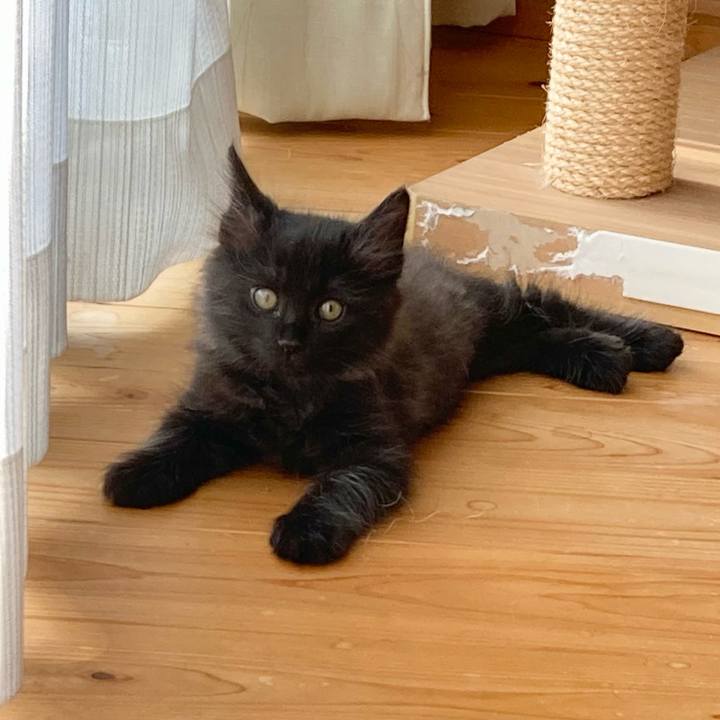 9cfb50da 80a1 46dd a551 dea72ad118ff 1699075336718