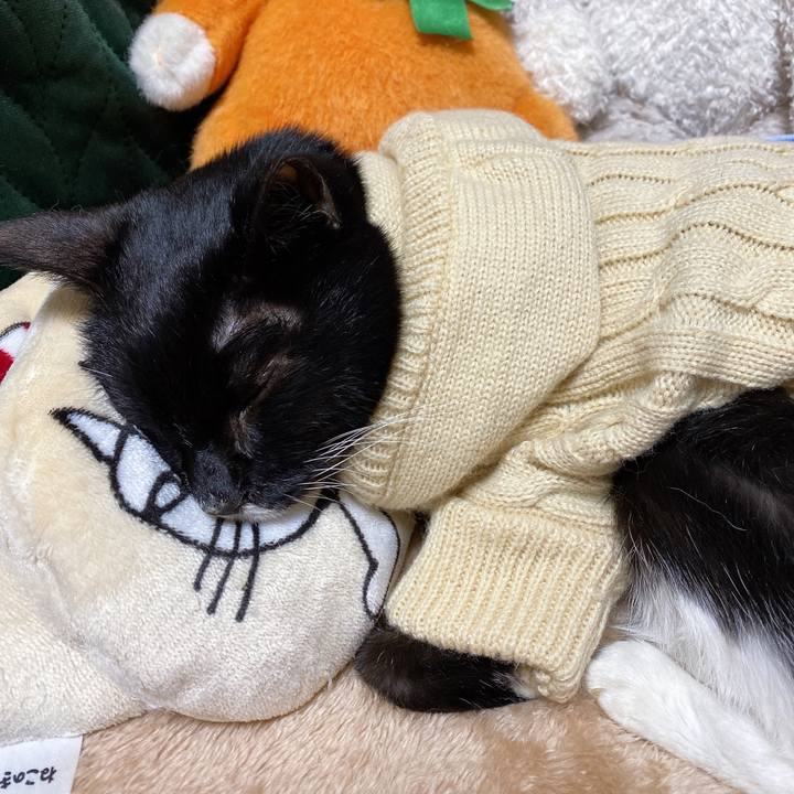 9cfb9e2c c14c 44f6 b2c5 bc397cb1c145 1644556033960