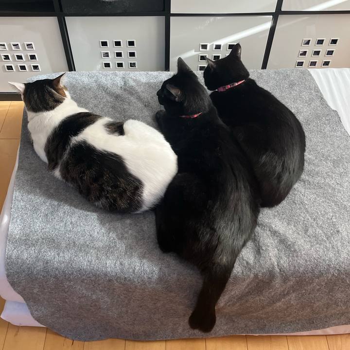 9cfbb6df 601e 4e5c aa71 2d34ce6bda4d 1677069113668