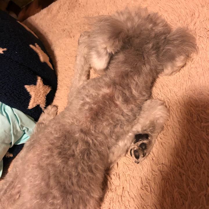 9cfbc3a4 1a72 4be2 a55d c7f66ebae5cd 1622733996310