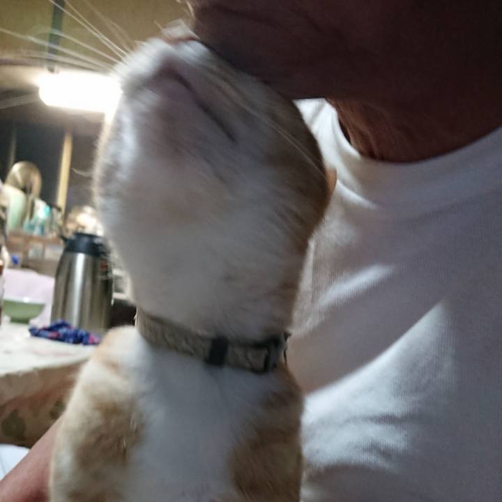 9cfbebbf 2a4e 4f4a be57 c1dffbd8d070 1593340575179