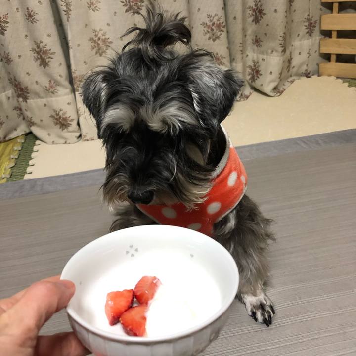 9cfc0dc9 d7fb 4352 932c ef033869c76b 1586778840372