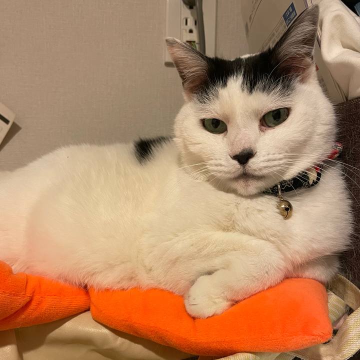 9cfc9216 e1e7 4f16 8dad 1beac0ceeb85 1707089307127