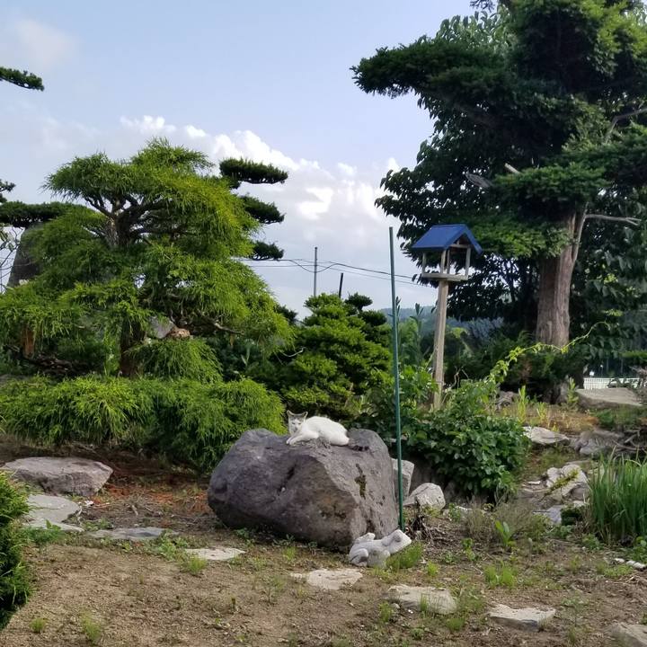 9cfc960d 9897 4de8 8757 29ba4893589b 1688730528182