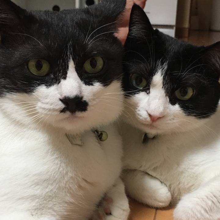 9cfc9dd7 9c76 4de3 afb7 97bcdc4f9988 1532347802913