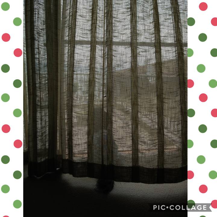 9cfcca4f 9102 49c1 9b0a 5ec3a7f08ef4 1544356431482