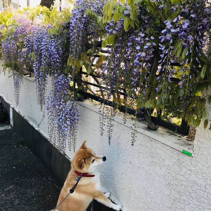 9cfd099c ef4e 457d b109 6c894a315b14 1555592437441