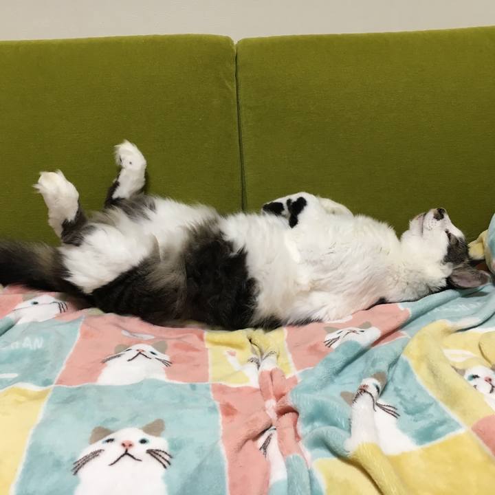 9cfd1017 5ffa 4b7f a5f3 188da1841a73 1508813559415