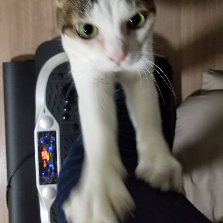 9cfd1bcd 1ead 4aa4 aed7 9c9184707d85 1602798352105