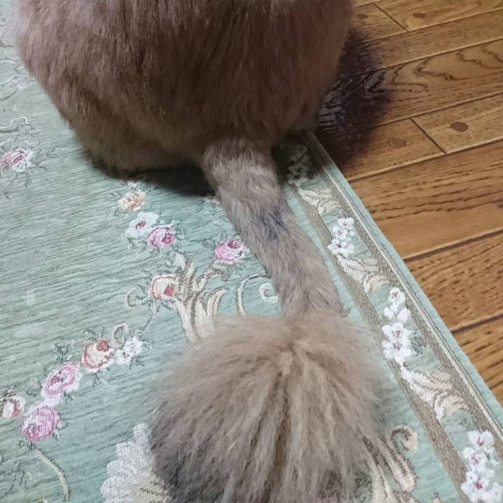 9cfd3dc8 1e03 4f26 be05 569cbb39c9f6 1511862281859