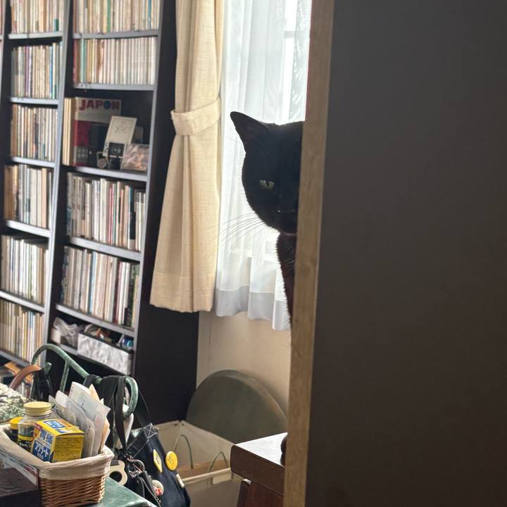 9cfd8e47 6816 446b 927b 31a06e622fea 1753507689424