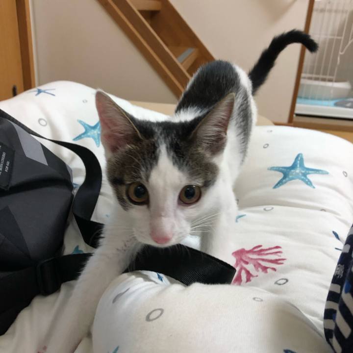 9cfda959 d28d 4ce6 9d18 6cdb76f38db5 1567730011177