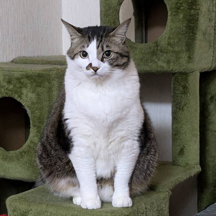 9cfdc1d4 3236 4989 980a 1c7f840bbe78 1735596583708