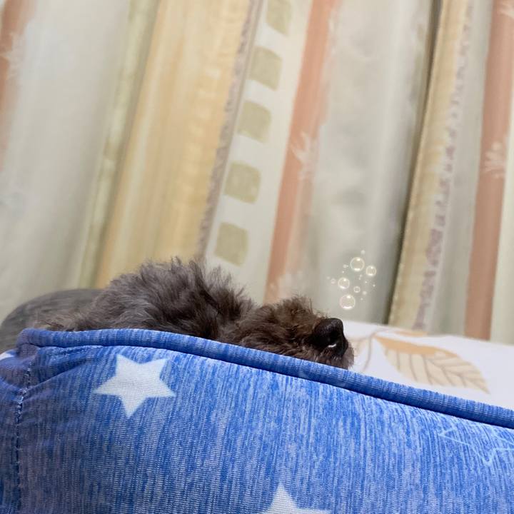 9cfddbfe 369e 4610 acaf 9eff0b7f317d 1568204996661