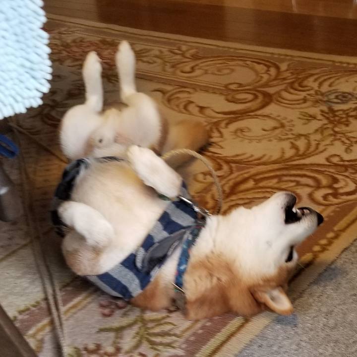 9cfdf6d7 2a7b 49b6 a54e 4acdbc5eaa1c 1581638538747