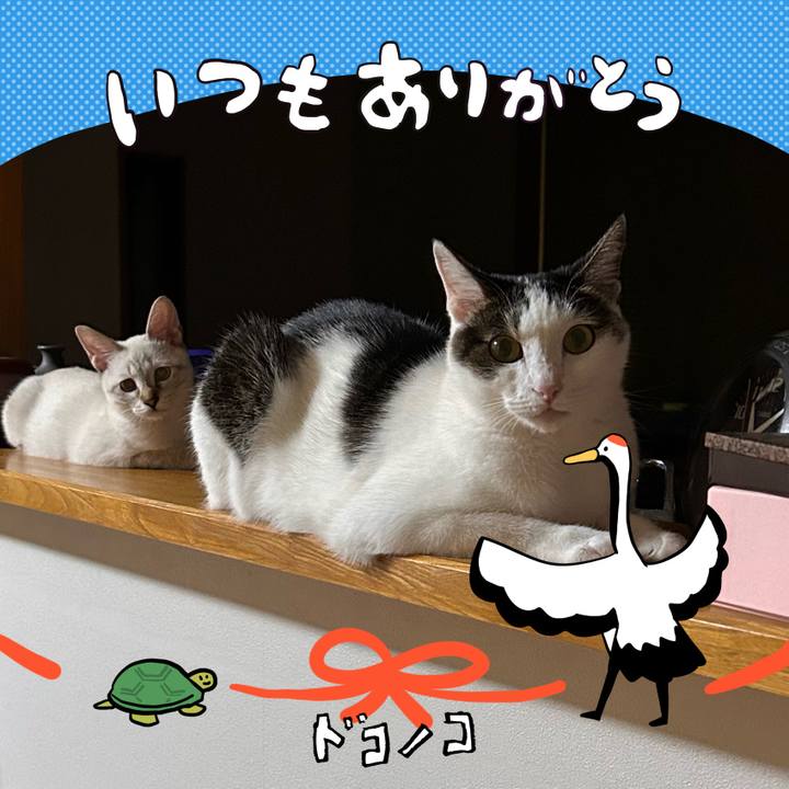 9cfdfe15 6128 45e7 b245 2a00c2860e8e 1726843901349