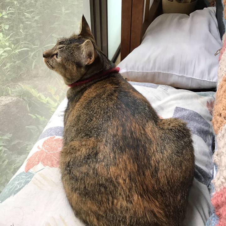 9cfe099b 1d51 4e2b b0eb f2e79dab4f96 1600913123111