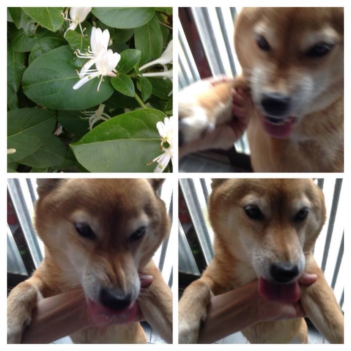 9cfe5c19 01fe 4411 9056 2b2e009e232c 1525405136478