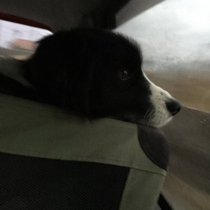 9cfe6323 3006 43b9 8ae2 68ddbf9aa502 1547158544865