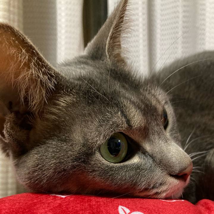 9cfe9d09 e667 48b4 a8ca eaeb87f531cd 1637489220799