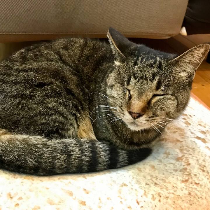 9cfeaec2 f588 48cf a8a7 3914b425836a 1617532341877