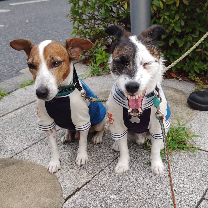 9cfee9d4 7028 4b52 ba47 74372ef5905d 1722030352042