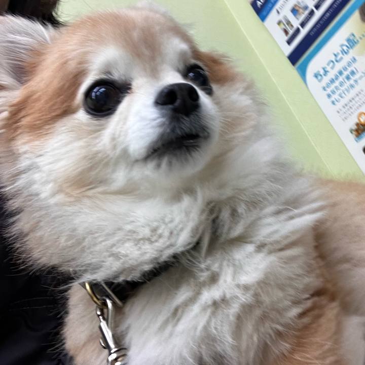 9cff2720 5aed 4cb1 9b65 c95021e8ac08 1768476457494