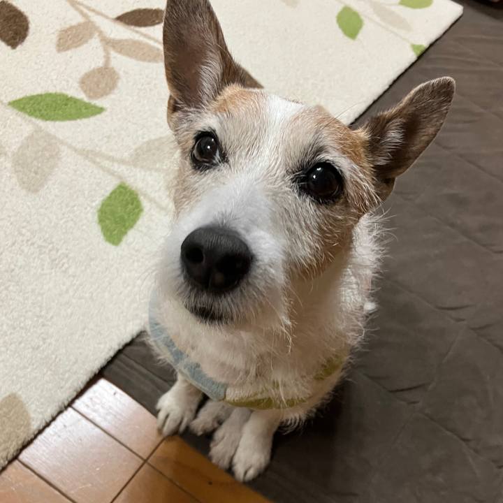 9cff2aa4 2b1e 4d56 abcb f7540cef1de8 1740526070164