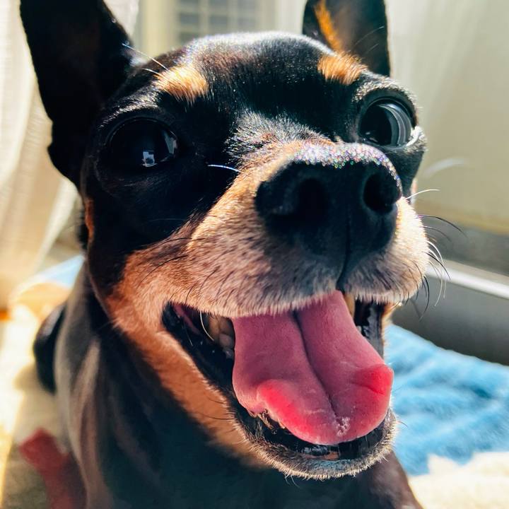 9cff4044 5be6 44a4 933a c98321134a6a 1772840874256