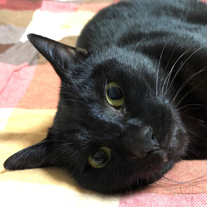 9cff504b 896e 485a 9c6f 763805e4b7e6 1671535094693