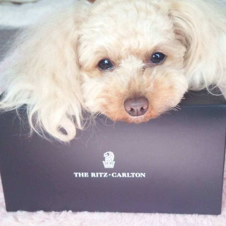 9cffa1c8 15e2 4ced a25b 5bf61c1d9e2a 1520335209381