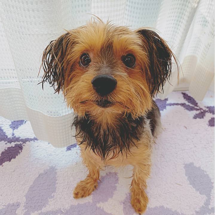 9cffdc12 8f97 4639 843c 77572295abed 1586921668585