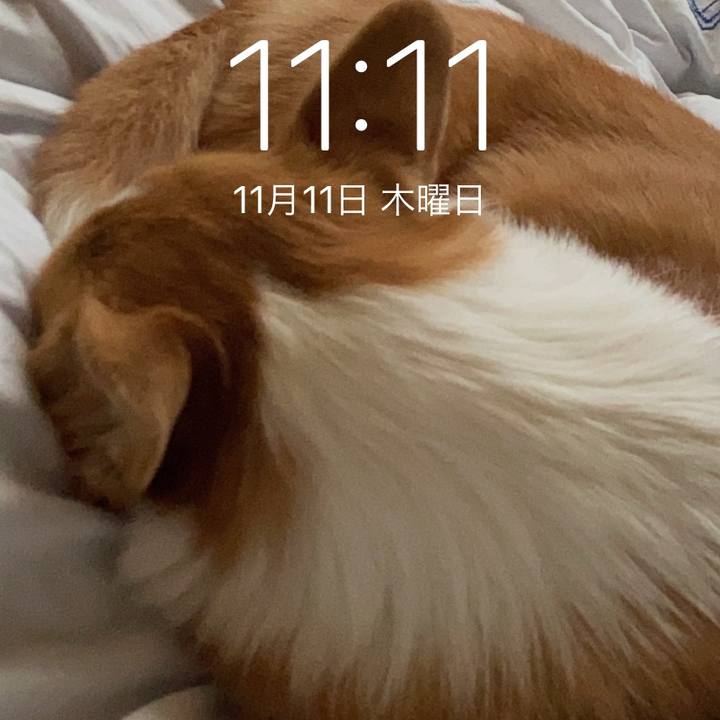 9cffedb7 1929 4434 ba9f 0232adb5ce09 1636642451658