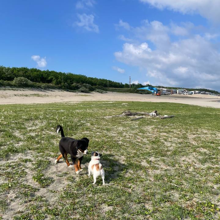 9d000e01 3423 4c8a b40c b002702a2e6c 1718754573777