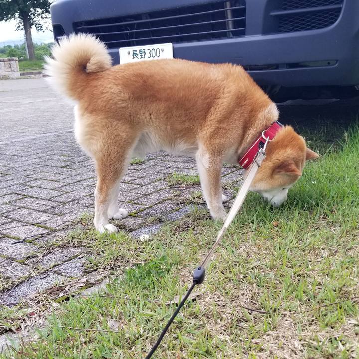 9d001996 e461 4996 aaf5 908548fbbd7d 1717399647224