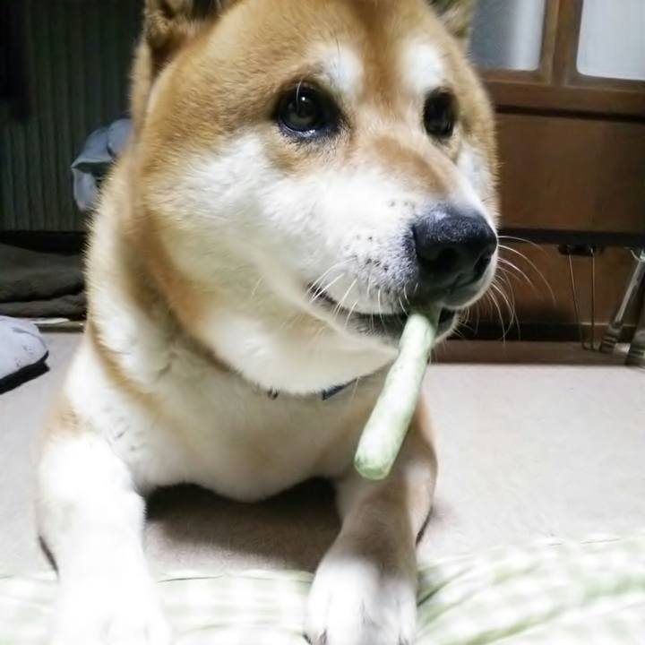 9d0022c7 6b91 4aeb 93c5 6f17fed8149a 1533124489190