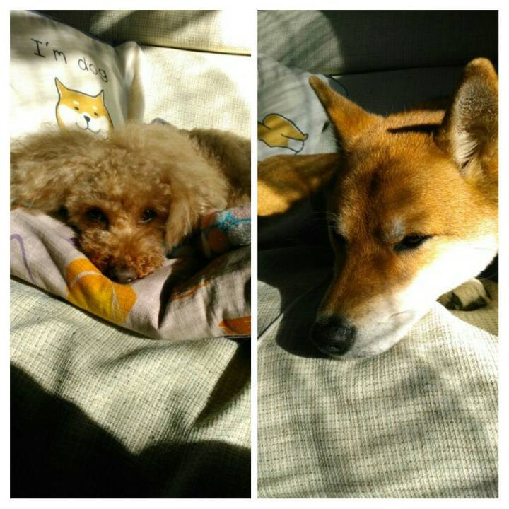 9d004360 2cf5 4d2e 966e 62e7cda903fc 1543984406069