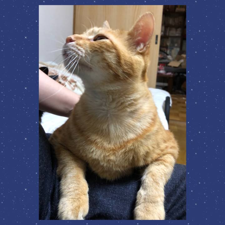 9d00da41 3544 4262 976b b5ab6c9ee28f 1601805268125