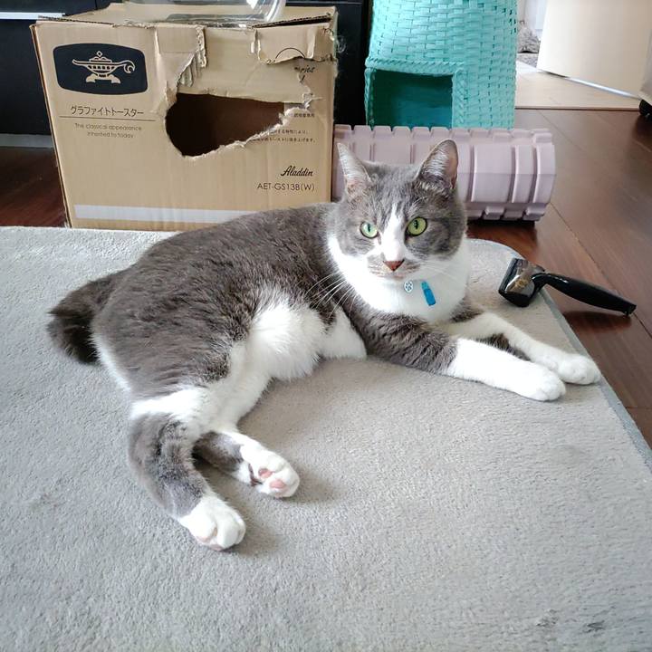 9d00ef2c 40d3 41b4 bc83 213e4180ec41 1713667832087