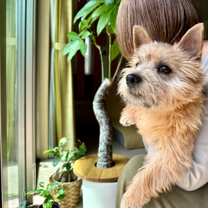 9d00fd16 68ee 4b0a b155 6ccdcdf32523 1711891131421