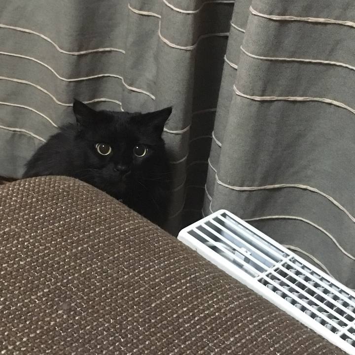 9d01078c 96b3 44f4 836b 8e3afd87da57 1522328773633