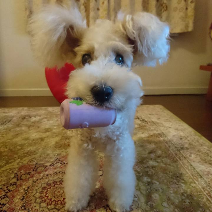 9d0136fd 5448 4de8 9822 d1c265c01429 1568974547325