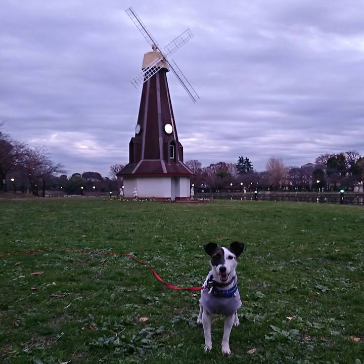 9d013a9b 0b23 4a35 900f beed0168fc99 1544605752036