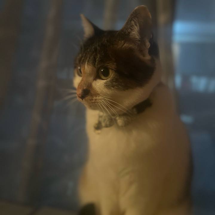 9d01407e eeec 4462 9ad0 cde0ef83f5da 1767907810068