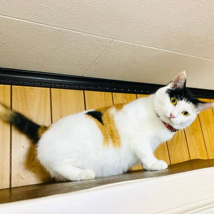 9d014507 e46e 4f2d 9122 05972fdb9ee2 1692363665831